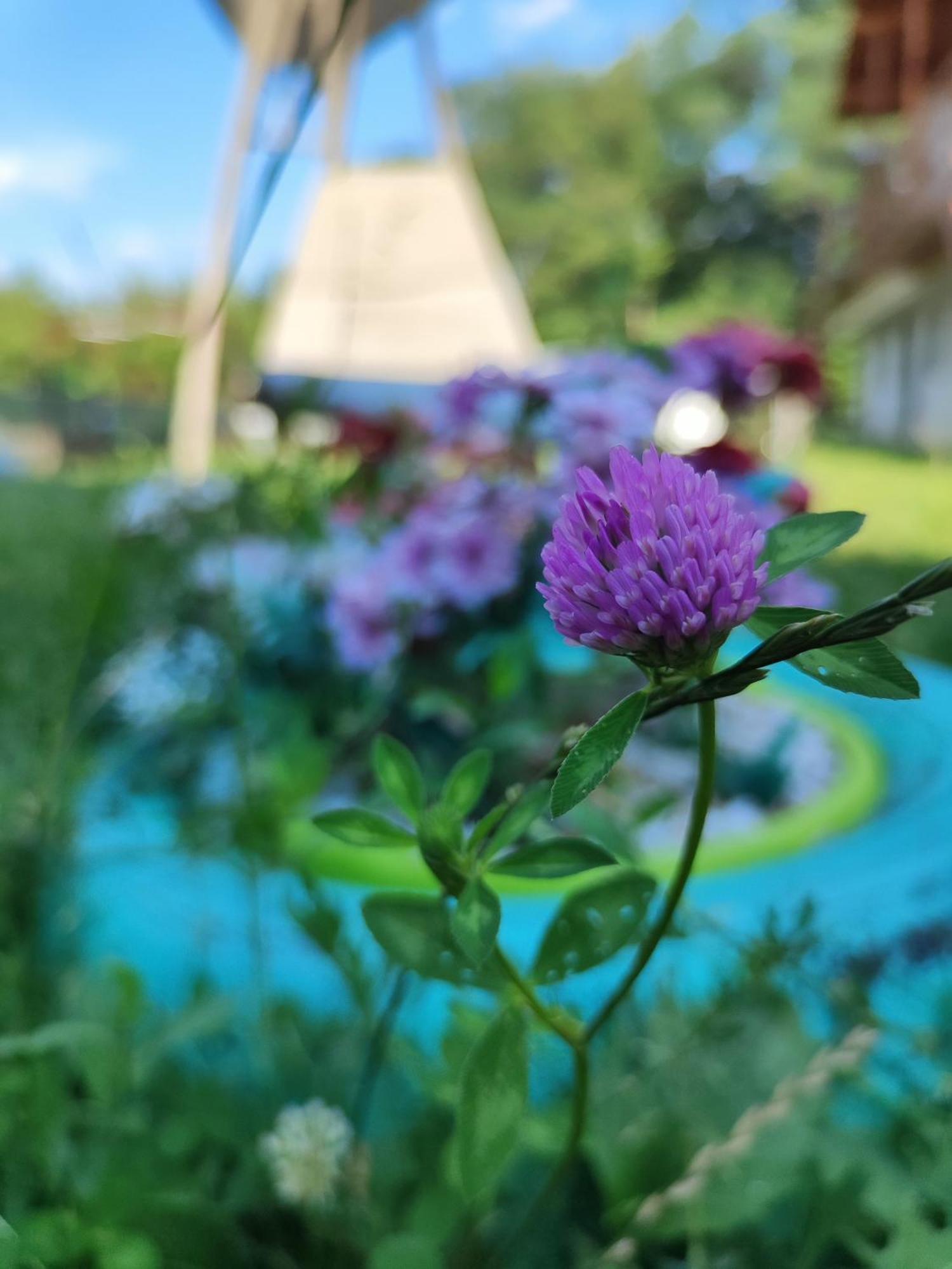 Călimăneşti Happy Home מראה חיצוני תמונה