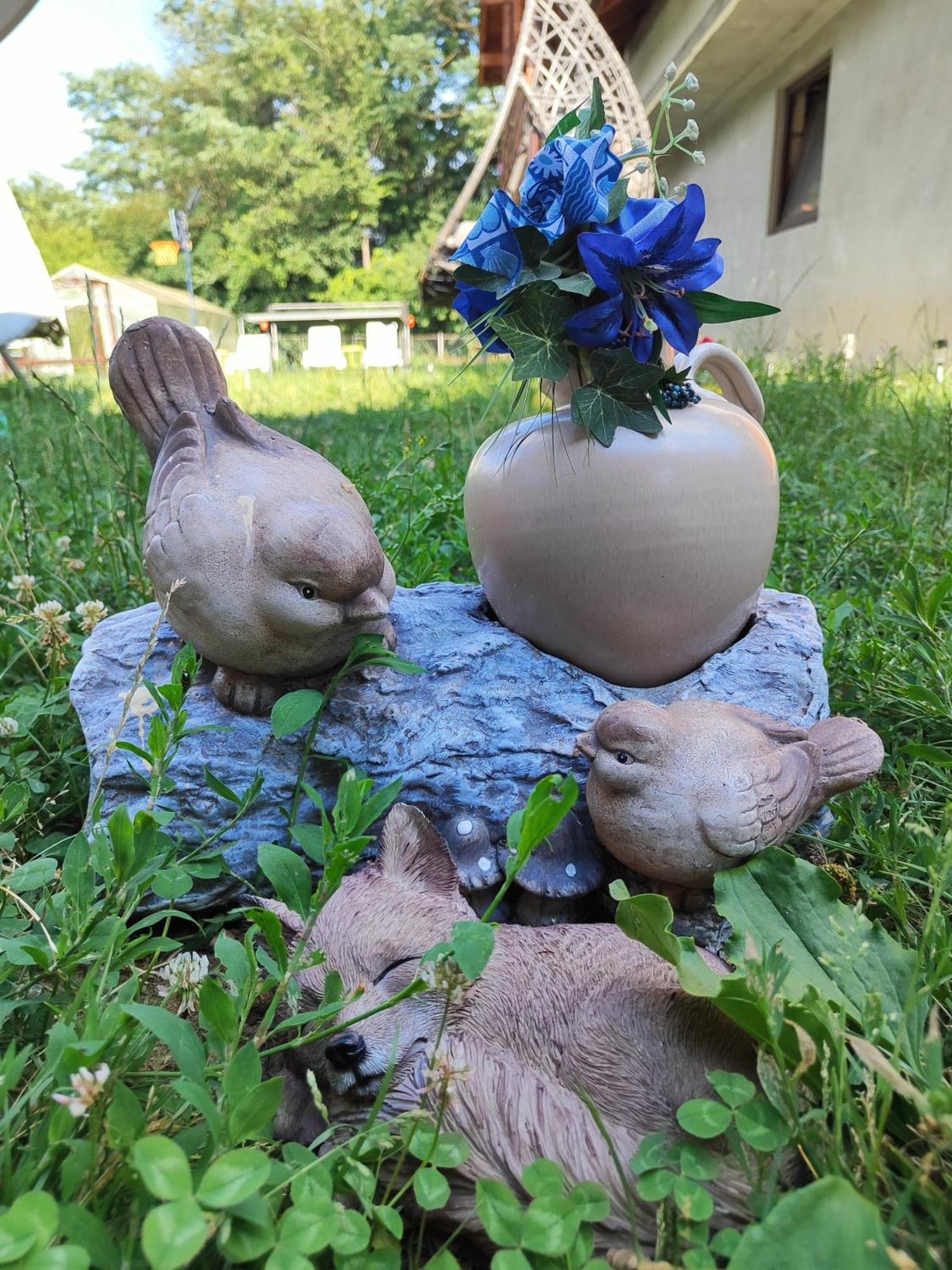 Călimăneşti Happy Home מראה חיצוני תמונה