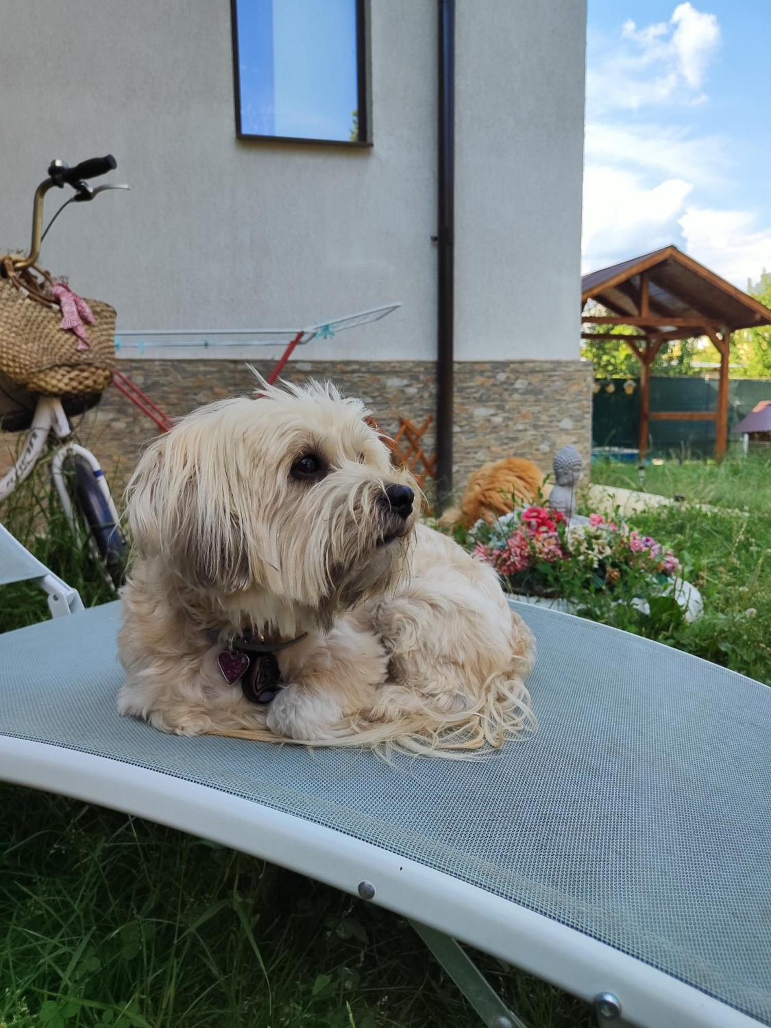 Călimăneşti Happy Home מראה חיצוני תמונה